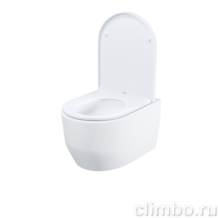 Унитаз подвесной безободковый, Эйгер Кью (Aiger Q), IDDIS, AIQRDSEi25 — фото, детали конструкции
