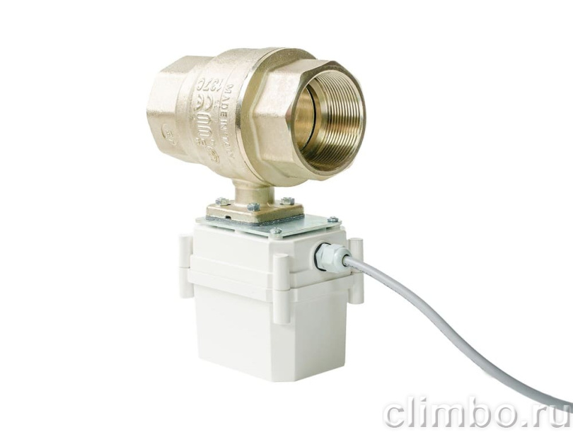 Кран с электроприводом PROFESSIONAL 220V ENOLGAS 2” — фото товара