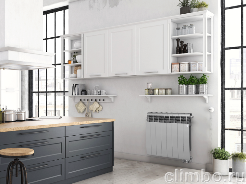 Радиатор Royal Thermo BiLiner 500 /Silver Satin VR - 12 секц. — фото товара